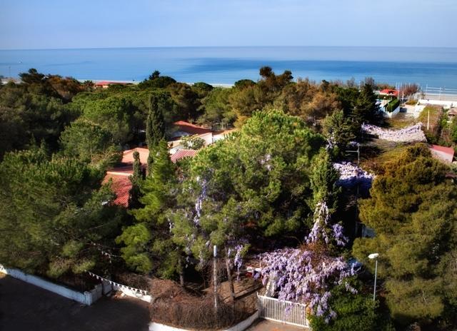 Villaggio La Pantera Rosa Scalea Ngoại thất bức ảnh
