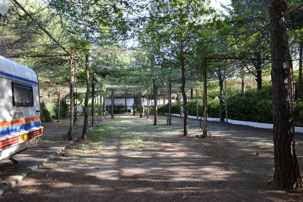 Villaggio La Pantera Rosa Scalea Ngoại thất bức ảnh